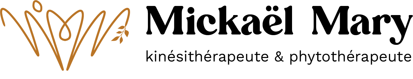 logo site internet